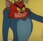 图片中是经典卡通《猫和老鼠》中的主角汤姆猫，它正呈现出极度愤怒的表情。汤姆眉头紧锁，双眼圆睁且瞳孔收缩，黄色的眼睛透露出凶狠的光芒，嘴巴微张似乎在低吼，露出尖锐的牙齿。它的身体呈蓝色，背景为单一的黄色，整体画面聚焦于汤姆愤怒的面部和上半身，展现出其被激怒时的经典神态。