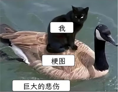 图片中一只眼神冷峻、眼睛发白光的黑猫正稳稳坐在一只漂浮在水面上的大鹅背上。黑猫上方有对白气泡写着“我”，大鹅身上的气泡写着“梗图”，画面最下方还有一个气泡写着“巨大的悲伤”。整体通过动物拟人化的方式，以幽默的视觉呈现表达了“我（通过）梗图（承载）巨大的悲伤”这一情绪，用轻松的画面反差传递内心的沉重情感。