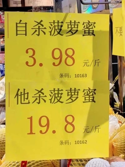 这是一张拍摄于线下生鲜超市的商品价格牌照片，价格牌为黄色背景，上面清晰标注了两种售卖形式的菠萝蜜信息：“自杀菠萝蜜”售价3.98元/斤，对应条码10163；“他杀菠萝蜜”售价19.8元/斤，对应条码10162。这里的“自杀”和“他杀”是超市使用的诙谐化表述，实际分别指代需要顾客自行剥取果肉的完整菠萝蜜，以及商家已经处理好、直接售卖果肉的菠萝蜜，两者因包含的服务不同，价格差距明显，这种趣味命名既清晰区分了商品类型，也能吸引顾客的注意力，属于商超的创意营销手段。