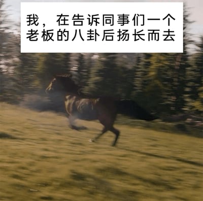 这是一张贴合职场日常的搞笑梗图，图片上方配有文字“我，在告诉同事们一个老板的八卦后扬长而去”，下方是一匹在草地上飞速奔跑的马，由于奔跑速度过快，画面呈现出模糊的效果。这张图用马狂奔的形象，生动且幽默地比喻了职场人在分享完老板的八卦后，为了避免被老板追责、或是躲开同事后续的八卦追问，急于逃离现场的状态，精准还原了职场中这种有趣又微妙的处境，能引发职场人的共鸣。