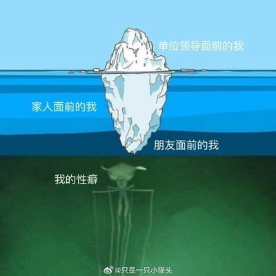 这是一张采用冰山模型创作的搞笑网络梗图，画面将一座冰山分为四层：水面上方仅露出的小部分冰山标注为「单位领导面前的我」，对应人在职场领导面前仅展现出极少、极为收敛的自我；水面下体积更大的上层冰山标注为「家人面前的我」，代表在家人面前展现出的自我维度比职场中更多；再往下体积更大的下层冰山标注为「朋友面前的我」，对应在好友面前更为放松、展现的自我更多；最深处的暗绿色海底还藏着一个造型诡异的细长外星人形象，标注为「我的性癖」，用夸张的手法调侃个人最隐私的癖好藏得最深、且形态超乎他人想象。图片底部带有微博标识和作者水印@只是一只小猫头。