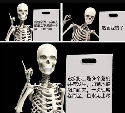 这是一组由三格组成的连环图文梗图，以拟人化的3D骷髅形象为载体，递进式地表达成年人对生活危机的认知变化：第一格骷髅举起手指，配文表达最初以为成年人的危机是逐个发生的；第二格骷髅摊手，用“然而我错了”制造反转；第三格骷髅靠近镜头，配文揭示真相——成年人的生活是多个危机并行发生，如潮水般永无止尽，精准调侃了当代成年人面临多重生活、职场压力的无奈现状，引发广泛的情绪共鸣。