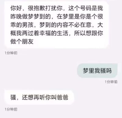 这是一张聊天记录截图，对话内容充满反差感与无厘头趣味。发送方一开始以“梦到号码、梦里两人过着幸福生活”为由，试图营造温情的交友氛围，想要和接收方成为朋友；但接收方没有顺着这个浪漫的开头回应，反而抛出“梦里我骚吗”的离谱问题；发送方的回复更是彻底反转氛围，直接表示“骚，还想再听你叫爸爸”，瞬间打破了原本的温情设定，用强烈的反差制造出搞笑、离谱的效果，让人啼笑皆非。