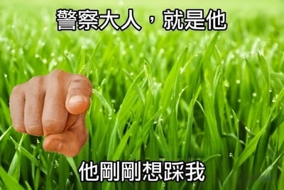 图片背景为一片带有露珠的绿色草地，前景中有一只手伸出并指向画面外。图片上方配有文字“警察大人，就是他”，下方配有文字“他刚刚想踩我”。整体通过拟人化手法，将草地赋予人的视角，以“报警”的方式幽默地表达自己差点被踩踏的情景，营造出俏皮搞笑的氛围。