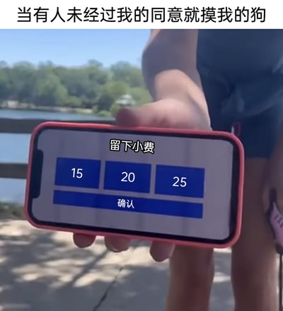 这是一张充满幽默调侃的网络梗图，顶部配有文字“当有人未经过我的同意就摸我的狗”，画面中一名真人手持带有红色边框的手机，手机屏幕上显示模仿服务行业小费支付的界面，界面上写着“留下小费”，并提供15、20、25三个金额选项和“确认”按钮。这张图用夸张的“索要小费”的方式，吐槽那些不打招呼就随意抚摸他人宠物的不礼貌行为，将日常的小费支付场景巧妙套用在宠物被摸的情境中，用荒诞的设定制造搞笑效果，引发宠物主人的共鸣。