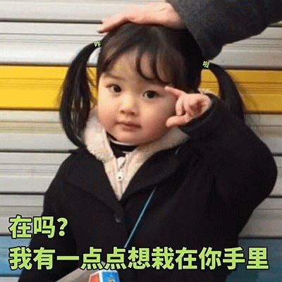 权律二可爱表情包：在吗？想栽在你手里