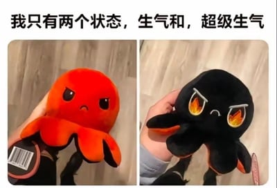 这是一张双面板梗图，左侧展示一只红色章鱼plush玩具，表情生气；右侧展示一只黑色章鱼plush玩具，眼睛冒火，表情超级生气。图片上方配有文字'我只有两个状态，生气和，超级生气'，通过对比两种生气程度的plush表情，幽默地表达了总是处于生气状态的情绪。