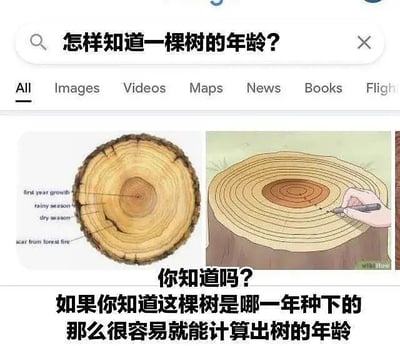 这是一张结合搜索截图和科普插图的梗图，问题本来期待科学答案，结果下方用直白冷幽默的话语“如果你知道这棵树是哪一年种的，那么很容易就能计算出树的年龄”作答，形成强烈反差和笑点。没有双关或谐音梗，属于直给型冷笑话。