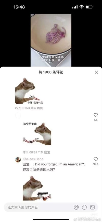 这是一张社交平台美食教程视频的评论区截图，顶部是美食教程的烹饪画面，配文“锅中油热倒入洋葱 胡萝卜炒一会”。评论区用户借助经典的“递筷猫”表情包展开了趣味互动：第一条评论是手持筷子的猫配文“你好 我吃一点”，定位显示来自美国；第二条回复是猫递出虫子配文“这个给你吃”，定位为广东；随后用户KhaleesiBabe用中英双语回复“你忘了我是美国人吗？”，玩起美国人普遍不吃昆虫的饮食梗；最后一张图是猫持枪对准筷子，将搞笑氛围拉满，整个评论互动形成了完整的玩梗闭环，充满戏谑感。