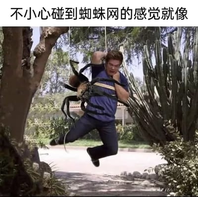 图片上方配有文字“不小心碰到蜘蛛网的感觉就像”，下方是一张户外场景照片：一名男子被一只体型巨大的蜘蛛用腿缠绕住身体，男子面露惊恐，双臂弯曲护在胸前，背景有树木和仙人掌。通过夸张的视觉对比，幽默地比喻了人们不小心碰到蜘蛛网时那种突然的、毛骨悚然的恐惧感。