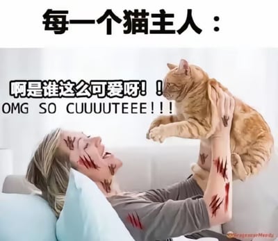 这是一张经过P图改编的搞笑图片，上方配文“每一个猫主人：”，图中的女士脸上和手臂上被P出多处猫抓痕，却依然满脸笑容地躺着，双手将一只表情抗拒、看起来十分不耐烦的橘猫举到面前，同时配文“啊是谁这么可爱呀！！OMG SO CUUUUTEEE！！！”，生动地调侃了养猫人群即使被自家猫咪抓伤，也会因为沉迷于猫咪的可爱而完全不在意受伤的状态，精准戳中了养猫爱好者的日常共鸣，充满了搞笑的反差感。