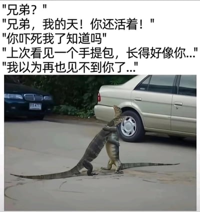 这是一张经过二次创作的趣味梗图，画面主体是两只在户外停车场路面上抱在一起的蜥蜴，它们的互动姿势酷似人类久别重逢时的拥抱。图片上方被添加了一段拟人化的中文台词，模拟其中一只蜥蜴的视角，表达了误以为对方变成手提包、久别重逢的惊喜与后怕情绪，将动物的自然互动赋予人类化的情感与剧情，制造出荒诞又搞笑的效果，让普通的动物场景充满趣味性，契合网络趣味梗图的创作风格。