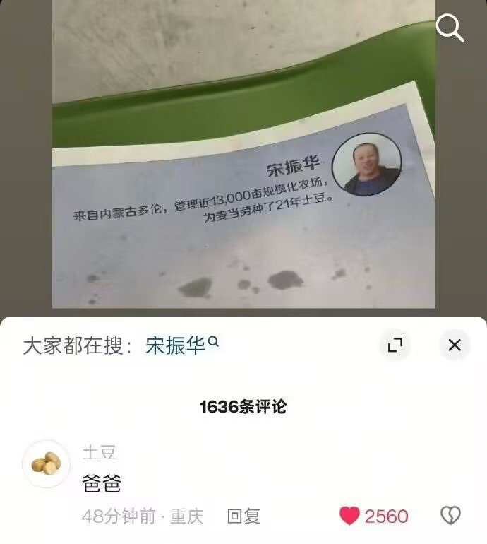 麦当劳土豆供应商封面