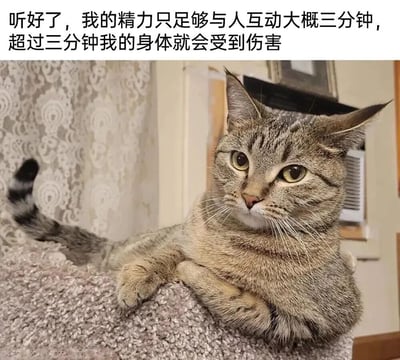 一张虎斑猫侧躺凝视的照片，上方配有文字："听好了，我的精力只足够与人互动大概三分钟，超过三分钟我的身体就会受到伤害"。图片通过将猫咪拟人化，幽默地表达了社交疲惫、内向者社交极限的感受，猫咪警觉又带点冷漠的表情与文字内容形成有趣呼应。