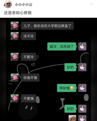 社交媒体用户“小小小小小公”分享的聊天记录截图，配文“还是老妈心疼我”。截图中老妈（莲花头像）与儿子（动漫头像）的对话充满温馨又搞笑的“无效关心”：老妈询问大学降温后冷不冷、饿不饿，在儿子回应“贼冷”“特别饿”后，分别回复“不要冷”“不要饿”，儿子无奈应答“好的”。聊天背景为黑色，老妈消息框为灰色，儿子为绿色，画面中还添加了手绘线条和简单图形，增强趣味性。