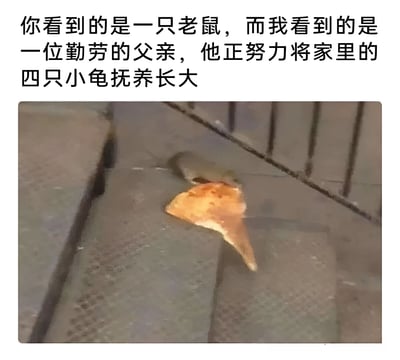 图片上方配有文字：“你看到的是一只老鼠，而我看到的是一位勤劳的父亲，他正努力将家里的四只小龟抚养长大”。下方是一张实拍图，画面中一只小型啮齿动物（疑似老鼠）正背负着一块三角形的橙棕色物体（类似薯片或食物碎屑）在瓷砖地面上行走。通过文字创意，将普通的动物行为幽默地解读为“父亲养家”的温馨场景，形成视角反差的搞笑效果。