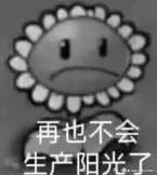 图片中是一朵灰色的向日葵卡通形象，它有着圆圆的花盘，花瓣呈放射状排列，整体表情显得十分悲伤——嘴角向下弯曲，眼神黯淡，花瓣也微微下垂。向日葵下方配有文字“再也不会生产阳光了”，通过向日葵这一通常象征阳光与积极的形象与悲伤表情、消极文字形成反差，直观表达出一种失落、失去动力的情绪。