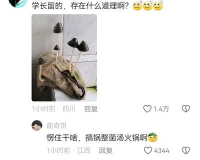 这是一张竖屏格式的社交媒体截图，发布者来自四川，发布了一张拍摄于卫生间的照片：一条遗留的毛巾因为环境潮湿，上面长出了五株黑色伞盖、白色菌柄的蘑菇。发布者配文“学长留的，存在什么道理啊？”并附带三个疑惑表情，该内容获得了1.4万点赞。下方来自江西的用户“曲奇饼”留下了一条热门评论：“愣住干啥，搞锅整菌汤火锅啊”，附带一个生气的表情，该评论获得4344点赞。整体内容是用户对集体生活中潮湿环境导致物品长菌的趣味分享，网友以玩笑式的评论互动，充满生活趣味性。
