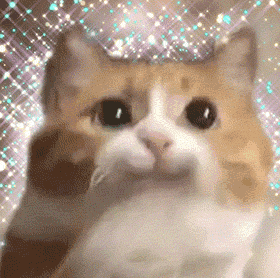 A cute orange and white cat with large, expressive eyes against a sparkling glitter background. The cat appears to be making an innocent expression while gently waving its paw near its face, creating an endearing and charming effect.