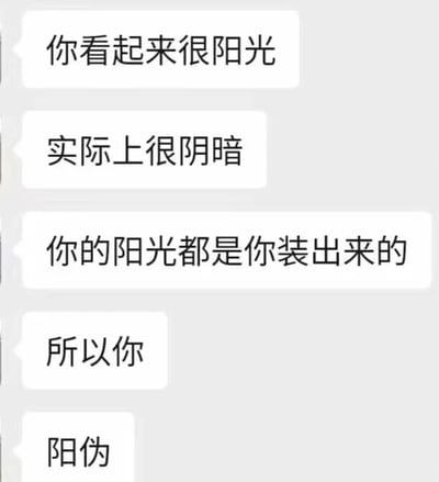这是一张单张静态的聊天记录截图，内容为一段连贯的吐槽话语。发送者先评价对方看起来十分阳光，随即话锋一转，指出对方实际上内心阴暗，所展现出的阳光模样全是伪装出来的，最后用融合了“阳光”与“虚伪”含义的谐音词“阳伪”来收尾，以此尖锐地吐槽对方表里不一、虚伪的特质，借助谐音梗的形式让吐槽更具趣味性与讽刺效果。