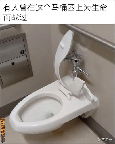 这张梗图展示了一个断裂的马桶圈，搭配文字“有人曾在这个马桶圈上为生命而战过”，表达了一种既荒唐又心酸的氛围。画面令人脑补使用者在上厕所时的尴尬和紧张，充分体现了生活中意想不到的“生死时刻”。配文采用戏剧性表达，兼具搞笑和共情感，引发网友对生活琐事的共鸣。

双关&引申：配文“为生命而战”夸张了如厕遇险的生活片段，调侃生理无奈。
