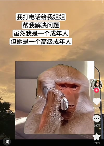 图片上方有文字："我打电话给我姐姐 帮我解决问题 虽然我是一个成年人 但她是一个高级成年人"。中间是一只猴子拿着手机贴在耳朵上打电话的图片，表情严肃认真。背景是橙黄色的天空，看起来像是日落时分。图片右侧有社交媒体界面元素，包括点赞数(192万)、评论数(2.9万)和收藏数(5383)。这张图通过将猴子拟人化打电话的场景与幽默文字结合，表达了成年人在遇到问题时依然会向更有经验的姐姐求助的有趣现象，用"高级成年人"的说法制造反差萌笑点。