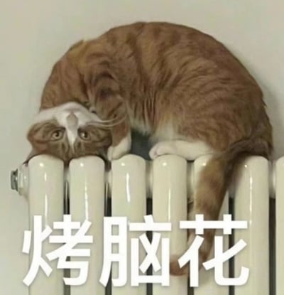 一只橘白相间的猫咪蜷缩着身体趴在白色暖气片上，头部向下靠在散热片管道上，眼睛睁大向上看，表情显得有些惊讶。图片底部有醒目的白色文字“烤脑花”，通过猫咪头部贴近暖气片的姿势与中国传统小吃“烤脑花”产生幽默联想，营造出轻松搞笑的氛围。