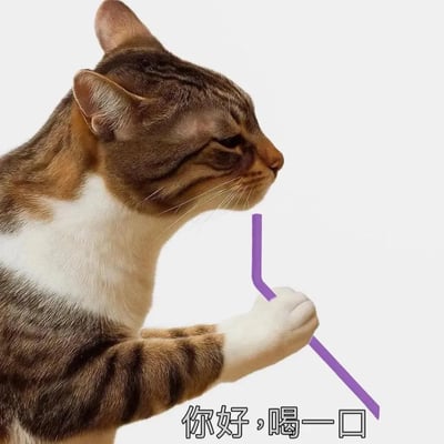 一只猫侧身坐着，用爪子握住一根紫色吸管，仿佛正要用吸管喝东西。画面下方配有文字：“你好，喝一口”。整体氛围带有轻松幽默，适合用于网络社交场合打招呼或分享心情。

这张图透过猫咪拟人举动和简短对白，形成反差萌，常被用来表达想占便宜、凑热闹、卖萌等含义。

没有明显的双关、谐音、暗示成分，但“喝一口”也有蹭一杯的玩笑味道。