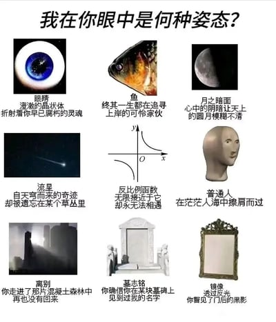 这是一张采用九宫格布局的图文混排静态图，顶部设置标题“我在你眼中是何种姿态？”，下方九个格子分别对应不同的意象与配套的emo风格文艺文案，用来指代不同的人际感受、自我认知或情感状态：1. 眼睛：以眼球图片搭配文案“澄澈的晶状体，折射着你早已腐朽的灵魂”，营造反差感的颓废情绪；2. 鱼：以鱼头图片搭配文案“终其一生都在追寻上岸的可怜家伙”，表达执着却无果的无奈；3. 月之暗面：以残月图片搭配文案“心中的阴暗让天上的圆月模糊不清”，指向内心的阴郁情绪；4. 流星：以流星图片搭配文案“自天穹而来的奇迹，却被遗忘在某个草丛里”，诉说短暂闪耀却被忽视的失落；5. 反比例函数：以函数图像搭配文案“无限接近于它，却永无法相遇”，用数学意象表达亲密却无法触碰的距离感；6. 普通人：以人脸模型图片搭配文案“在茫茫人海中擦肩而过”，指代平淡无奇、转瞬即逝的人际交集；7. 离别：以城市迷雾图片搭配文案“你走进了那片混凝土森林中，再也没有回来”，描绘都市中离别后的杳无音信；8. 墓志铭：以墓碑图片搭配文案“你确信你在某块墓碑上见到过我的名字”，营造一种被遗忘又似曾相识的诡异感；9. 镜像：以镜子图片搭配文案“透过反光，你瞥见了门后的黑影”，传递未知的不安与隐秘的情绪。整体风格偏向伤感、文艺，适合在社交网络上用来表达细腻的个人情绪或进行趣味的自我/他人认知测试。