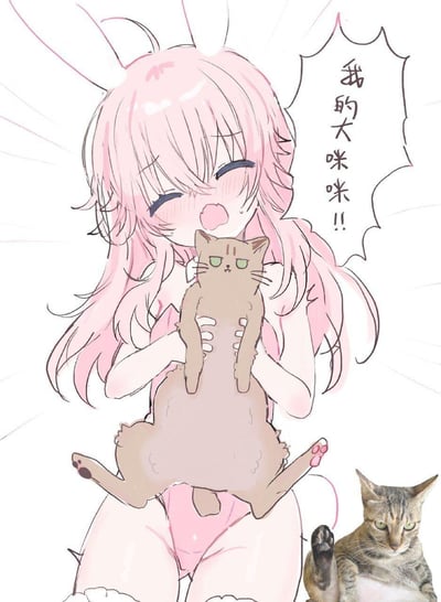 粉色长发兔耳少女穿着粉色连体衣，满脸激动泛红，双手将一只胖橘猫强行举在身前，猫咪表情生无可恋、一脸冷漠。画面右下角还搭配了一只同款表情的真实猫咪。旁边的对白气泡写着「我的大咪咪！！」，这里运用了谐音梗，「大咪咪」既指猫咪，又有双关含义，制造出荒诞搞笑的效果。