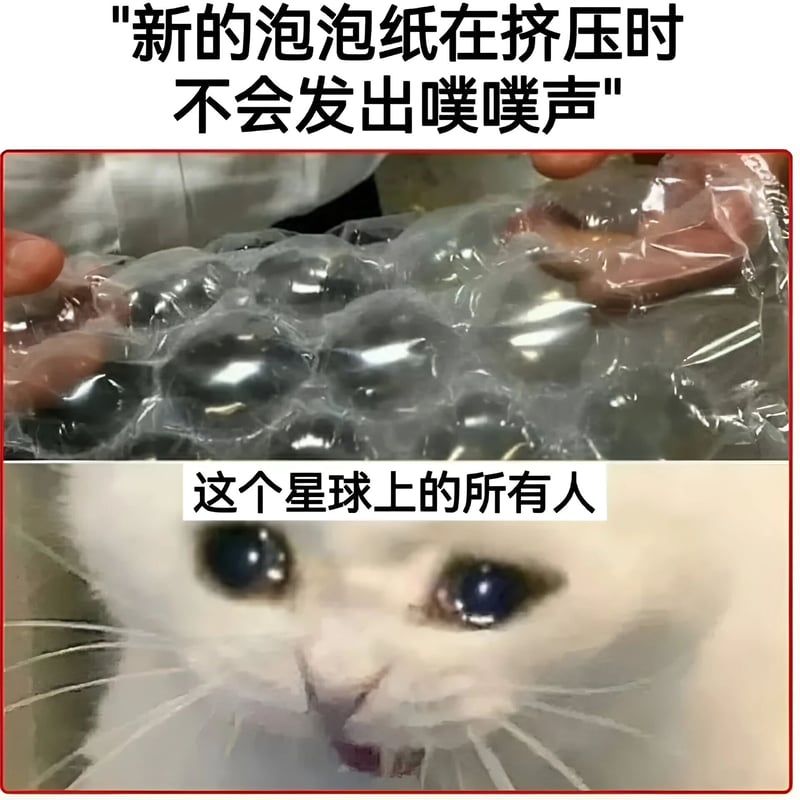 震惊白猫