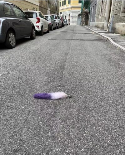 一条狭窄的城市街道，两侧停放着多辆汽车。街道中央地面上放着一个紫白相间的毛绒尾巴状物体，末端有金属球。周围环境显示这是一个欧洲风格的城市区域，有古老的建筑和典型的街道布局。