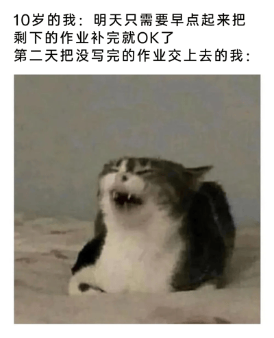 图片上方有两行文字，第一行为“10岁的我：明天只需要早点起来把剩下的作业补完就OK了”，第二行为“第二天把没写完的作业交上去的我：”。文字下方是一张猫咪的照片，猫咪躺卧着，嘴巴大张露出牙齿，表情夸张，像是在惊恐或无奈地大笑，幽默地展现了小时候计划补作业却未完成的尴尬对比情景。