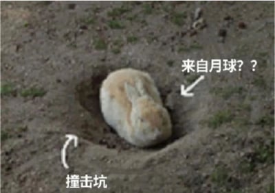 一张搞笑梗图，展示了一只圆滚滚的啮齿动物（可能是土拨鼠或仓鼠）坐在地上的小坑里。图片配有文字标注，将小动物所在的坑称为'撞击坑'，并幽默地质疑这只动物是否'来自月球？？'。这种夸张的类比创造了滑稽效果，把普通的小动物洞穴比作月球表面的陨石坑。