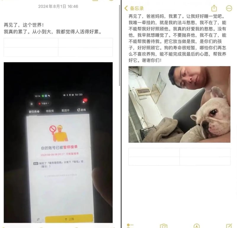 法斗犬
