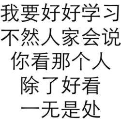 我要好好学习不然除了好看一无是处