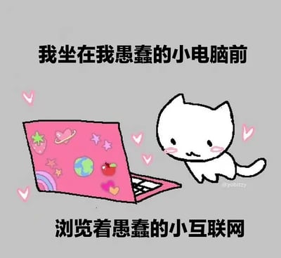 这是一张画风可爱的表情包梗图，画面上有一只简笔Q版小白猫，做出认真盯着电脑的样子，旁边是一台贴满粉色卡通贴纸的笔记本。图片上下分别写着“我坐在我愚蠢的小电脑前”和“浏览着愚蠢的小互联网”，整体表达一种自嘲、搞怪、可爱的气氛，代表着现代人用电脑刷网络的搞笑自嘲日常。小白猫的可爱表情和粉嫩配色，突出无害、轻松、略带自我调侃意味。

并未包含双关、谐音梗或暗示。