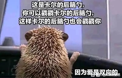 这是一张经过文字加注改编的动画截图梗图，画面主体是一只名为卡尔的刺猬，它背对镜头，两只小爪子搭在前方的栏杆上，露出布满尖刺的后脑勺。图中上方配有引导性文字“这是卡尔的后脑勺，你可以戳戳卡尔的后脑勺，这样卡尔的后脑勺也会戳戳你”，下方点明核心观点“因为爱是双向的”。该梗图利用刺猬尖刺的特性做巧妙比喻：当人触碰卡尔的尖刺后脑勺时，自身也会被尖刺戳到，以此类比双向的爱——爱并非单向的输出，而是需要双方的互动与回应，你向他人传递爱意的同时，也会收获来自对方的爱意反馈，用可爱的动物形象将抽象的情感观点具象化，传递出温暖治愈的情感内核。