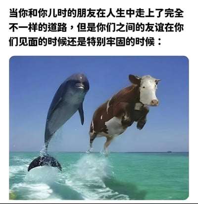 图片上方配有文字：'当你和你儿时的朋友在人生中走上了完全不一样的道路，但是你们之间的友谊在你们见面的时候还是特别牢固的时候：'，下方是一张合成图像，画面中一只海豚和一头奶牛共同从碧蓝的海水中跃起，背景是晴朗的蓝天。海豚象征着水生环境中的生物，奶牛则是陆生动物，二者本属不同生活领域，却在此刻一同跳跃，形象地比喻了儿时好友虽人生轨迹不同，但友谊依然坚固的主题。