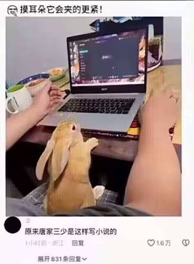 图中展示一个人坐在书桌前使用笔记本电脑，左手端着白色杯子，右手放在键盘上。一只棕色兔子站立起身，前爪搭在桌边，仰头专注注视电脑屏幕。图片顶部有文字“摸耳朵它会夹的更紧！”，底部模拟社交媒体评论区，显示评论“原来唐家三少是这样写小说的”，获1.6万点赞及831条回复。整体通过兔子的可爱动作与作家写作场景幽默关联，营造轻松搞笑氛围。