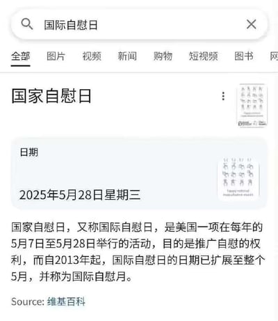 该图片为搜索引擎搜索结果页面截图，搜索框中输入关键词“国际自慰日”，但搜索结果标题显示为“国家自慰日”。页面显示了相关日期信息“2025年5月28日星期三”，并配有一段文字说明，称该节日又称国际自慰日，是美国的一项活动，时间为每年5月7日至28日，自2013年起扩展为整个5月并称为国际自慰月，来源标注为维基百科。页面顶部有“全部、图片、视频、新闻”等分类标签。