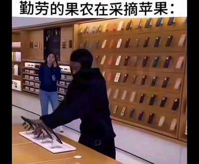这是一张带有荒诞调侃性质的梗图，画面场景为苹果品牌的线下门店，一名戴着黑色头套的人员正快速将展示台上的平板电脑往自己怀中划拉，疑似抢劫店内商品；背景处的女店员面露惊讶，手持手机似乎在打电话求助。图片顶部配文“勤劳的果农在采摘苹果：”，运用了谐音梗，将“苹果”同时指代水果和苹果品牌的电子产品，把抢劫苹果门店商品的行为戏称为果农采摘苹果，用幽默反差的方式调侃这一抢劫事件，制造出荒诞搞笑的效果。