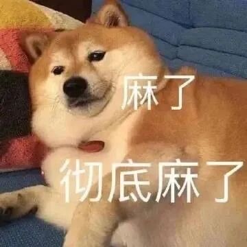 这是一张静态单图的文字加注表情包，主体是一只名为Cheems的柴犬，它瘫在蓝色的垫子上，眼神涣散、表情倦怠，姿态放松却透着满满的无力感。图中用醒目的白色字体叠加了“麻了”“彻底麻了”的文字，直白地传递出疲惫、无奈、对现状无力改变的负面情绪，非常贴合人们在面对职场压力、繁琐生活琐事时的心境，容易引发广泛共鸣，常被用于社交聊天、网络吐槽场景中。