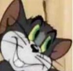 猫和老鼠