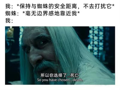 这张梗图上方是文字对话，描述了与蜘蛛保持安全距离却被蜘蛛无边界感靠近的场景。下方是《指环王》中萨鲁曼的经典截图，配文'所以你选择了...死亡'，幽默地表达了面对蜘蛛入侵边界时的绝望反应。
