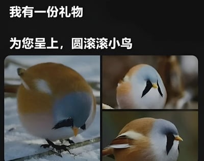 图片上方为黑色背景白色文字“我有一份礼物 为您呈上，圆滚滚小鸟”，下方由三张实拍小鸟照片拼接而成。左侧照片中，小鸟站立在覆雪的树枝上，身体圆滚，头部蓝色，背部棕色，正低头啄食；右上方照片为小鸟头部特写，蓝色头顶，面部有黑色斑纹，喙部黄色；右下方照片展示小鸟侧颜，羽毛层次分明，整体呈现出憨态可掬的“圆滚滚”形态，传递出可爱治愈的氛围。