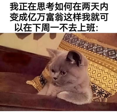 图片上方为黑色加粗文字：“我正在思考如何在两天内变成亿万富翁这样我就可以在下周一不去上班:”，下方是一只灰色猫咪趴在带有金色花纹的垫子上，猫咪眼神低垂，姿态慵懒，仿佛正在认真思考文字中的“暴富计划”。整体通过幽默的文字与猫咪沉思的表情结合，生动展现了打工人对逃避周一上班的幻想，充满自嘲与无奈的喜剧效果。