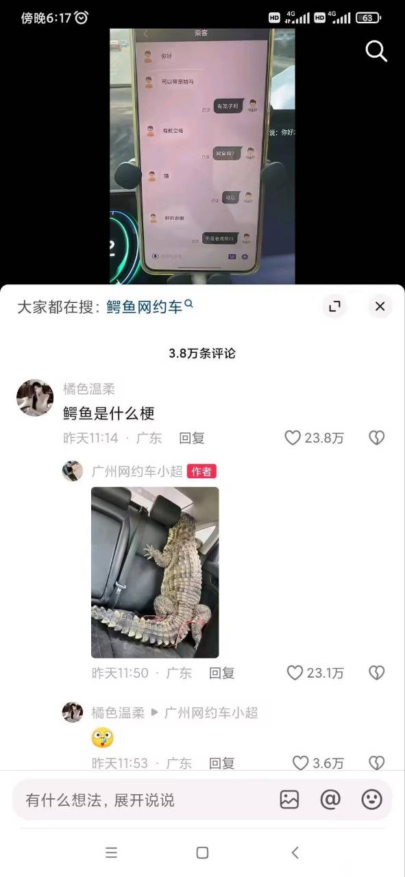 鳄鱼