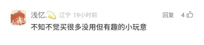 这是一张社交媒体平台的用户评论截图，界面左上角是一个面带笑意、手持物品的卡通女孩头像，用户网名为“浅忆.⭐”，标注了所在地辽宁以及发布时间为19小时前。评论内容为“不知不觉买很多没用但有趣的小玩意”，表达了用户在消费中会无意识购买这类小物件的状态，该评论右侧显示有4个点赞和回复按钮，整体内容是用户分享自己日常消费中的小习惯，能引发很多有类似消费经历的人的共鸣。