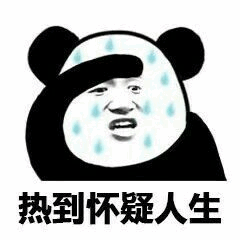 热到怀疑人生熊猫头表情包